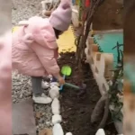 مهد کودک و پیش دبستان بال پرواز در عظیمیه