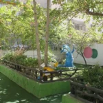 مهدکودک و پیش دبستانی گل دونه ها در گوهردشت