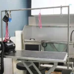 کلینیک دکتر پرکار در مرزداران