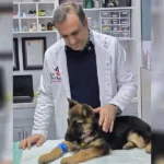 کلینیک دکتر پرکار در مرزداران