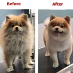 کلینیک دکتر پرکار در مرزداران