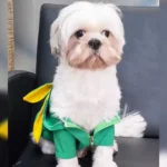 کلینیک دکتر پرکار در مرزداران