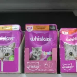 کلینیک دکتر پرکار در مرزداران