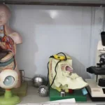 دبیرستان غیر دولتی دخترانه دیانت در اسلامشهر