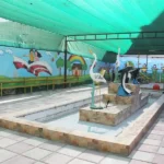 مجتمع دخترانه ابراهیمیان در اسلامشهر