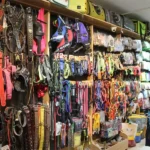 پت شاپ پلانگتون در اسلامشهر