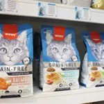 پت شاپ پلانگتون در اسلامشهر