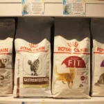 پت شاپ پلانگتون در اسلامشهر