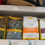 پت شاپ پلانگتون در اسلامشهر