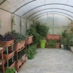 پیش دبستانی و دبستان دوره اول دخترانه آوای الهام در شاهین ویلا