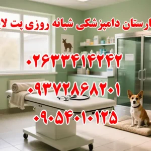 بیمارستان-دامپزشکی-شبانه-روزی-پت-لایف-در-مهرشهر