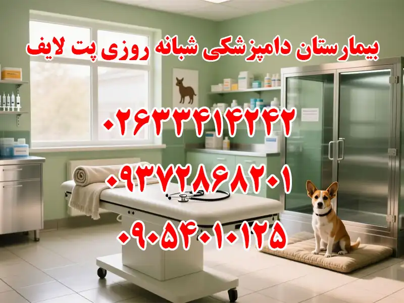 بیمارستان دامپزشکی شبانه روزی پت لایف در مهرشهر