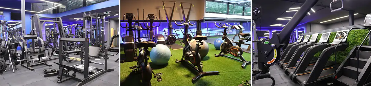 ریبورن-بلاگ