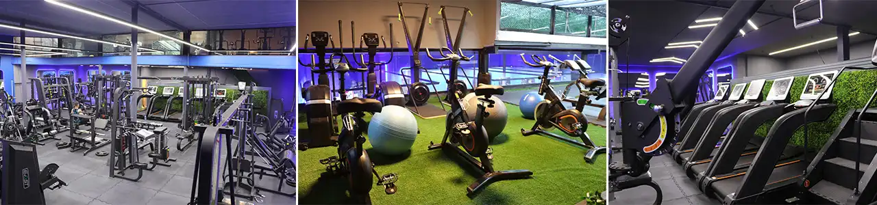 ریبورن-بلاگ