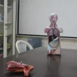 مجتمع آموزشی فرهنگی دخترانه فجر صادق در اشرفی اصفهانی