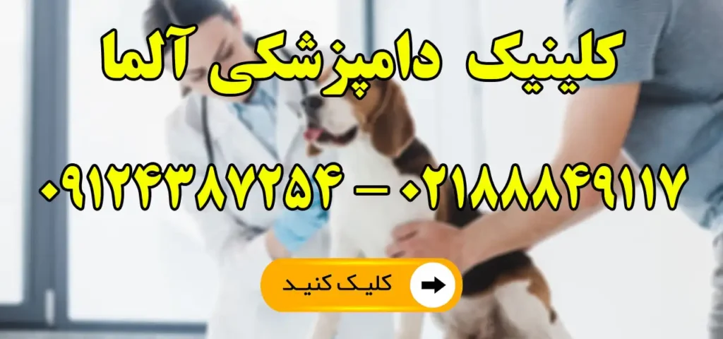 کلینیک دامپزشکی آلما در بهار شیراز