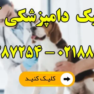 کلینیک-دامپزشکی-آلما